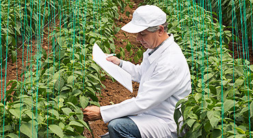 Plant 3D Modeling, design of supports, preparation of manufacturing drawings